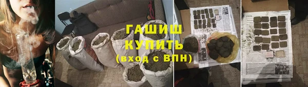 прущие грибы Алзамай
