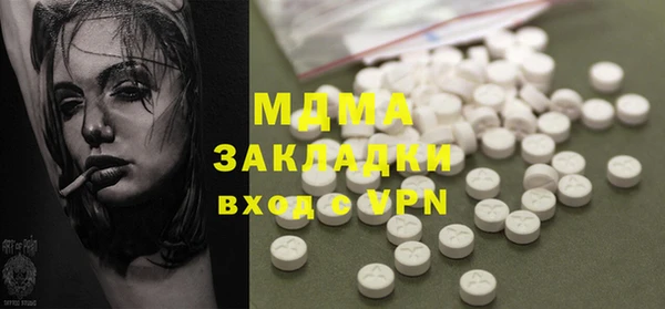 индика Алексин