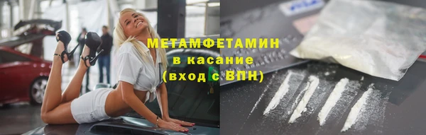 индика Алексин