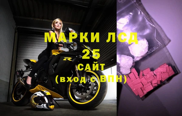 индика Алексин