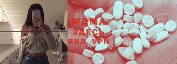 индика Алексин