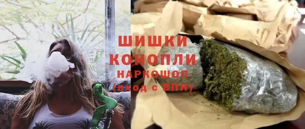 прущие грибы Алзамай